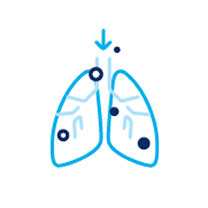 Particulate Matter