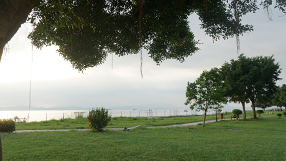 img (5)